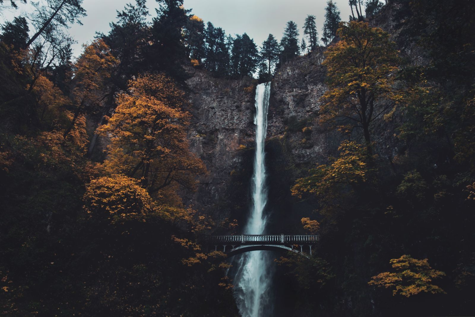 Multnomah Falls in the Columbia River Gorge framed by autumn color